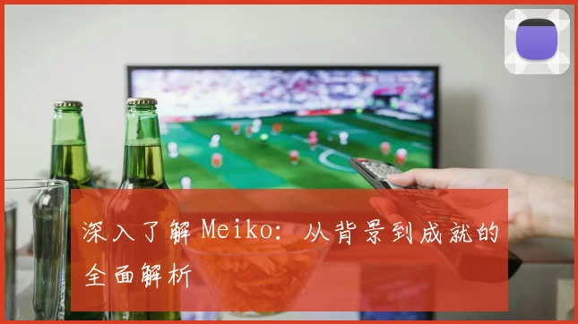 深入了解 Meiko：从背景到成就的全面解析
