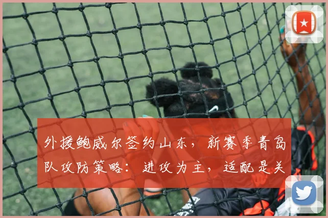 外援鲍威尔签约山东，新赛季青岛队攻防策略：进攻为主，适配是关键