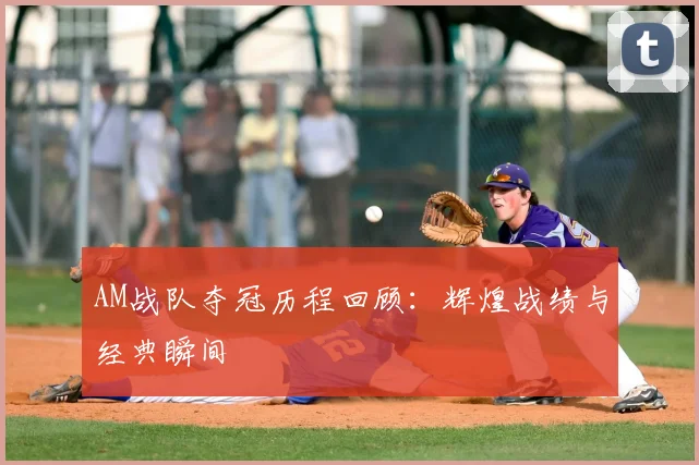 AM战队夺冠历程回顾：辉煌战绩与经典瞬间