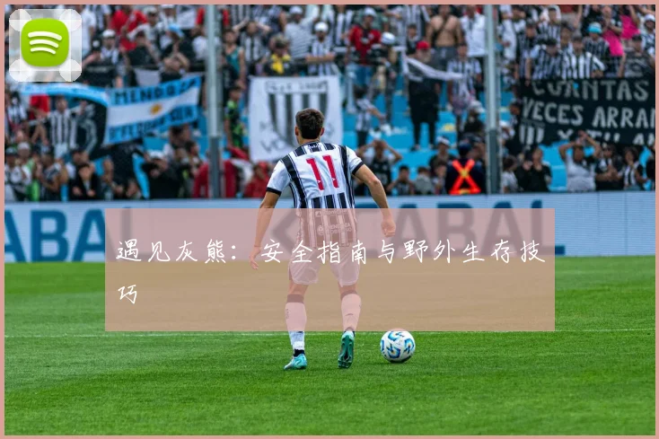 遇见灰熊：安全指南与野外生存技巧